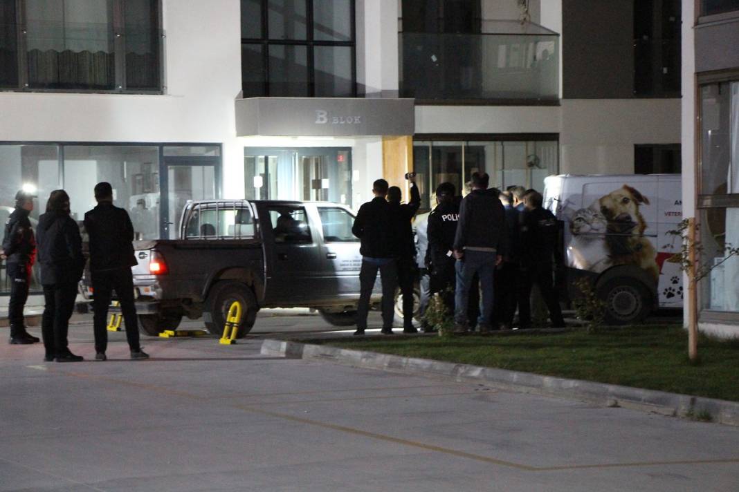 Sitenin içine yaban domuzu girdi! Polisler operasyon düzenledi 1
